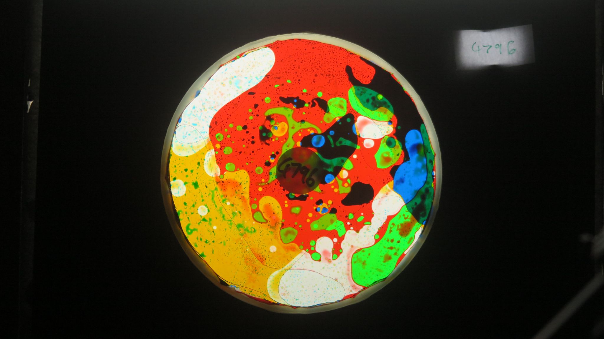 BV4796 bubble vision oil wheel